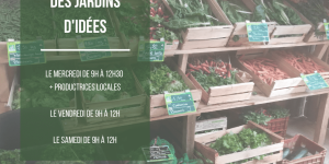 Illustration actualité : Marchés sur site